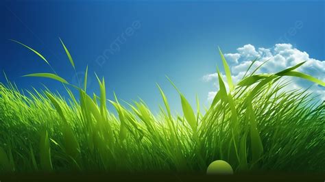 grass green background|200,000+ Free Green Grass & Grass Images .